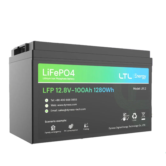 Dyness Battery Lithium Ion 1.28KWH 12.8V 100AH