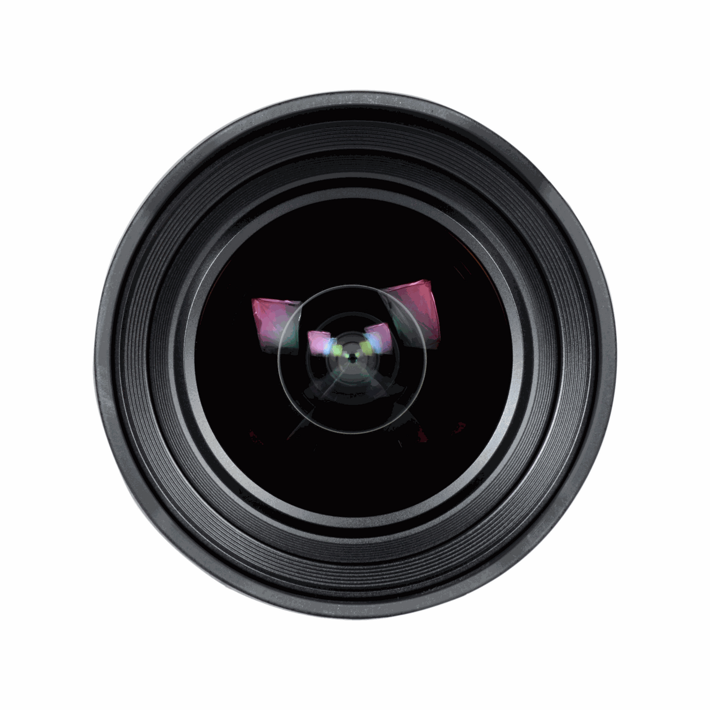 Sony FE 12-24mm f/4 G Lens