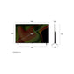 LG 55" OLED AI B5 4K 120Hz Smart TV OLED55B56LA.AFAB