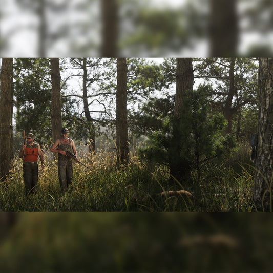 Grand Theft Auto VI - KOODOO