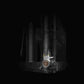 Merak Espresso Machine Rotary Pump