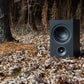 PSB Alpha P5 -  Bookshelf Speakers (Pair)
