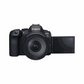 Canon EOS R6 Mark II + RF24-105 F4 L IS USM
