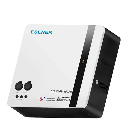 Esener 2.56kwh 25.6v 100Ah LiFePO4 Battery 